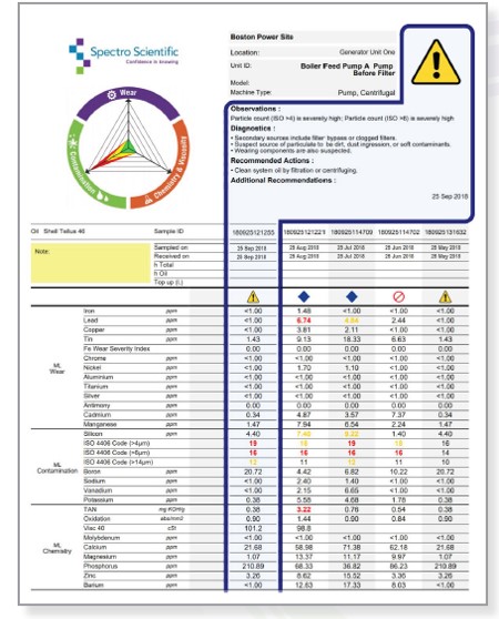 TruVu 360 Sample Report